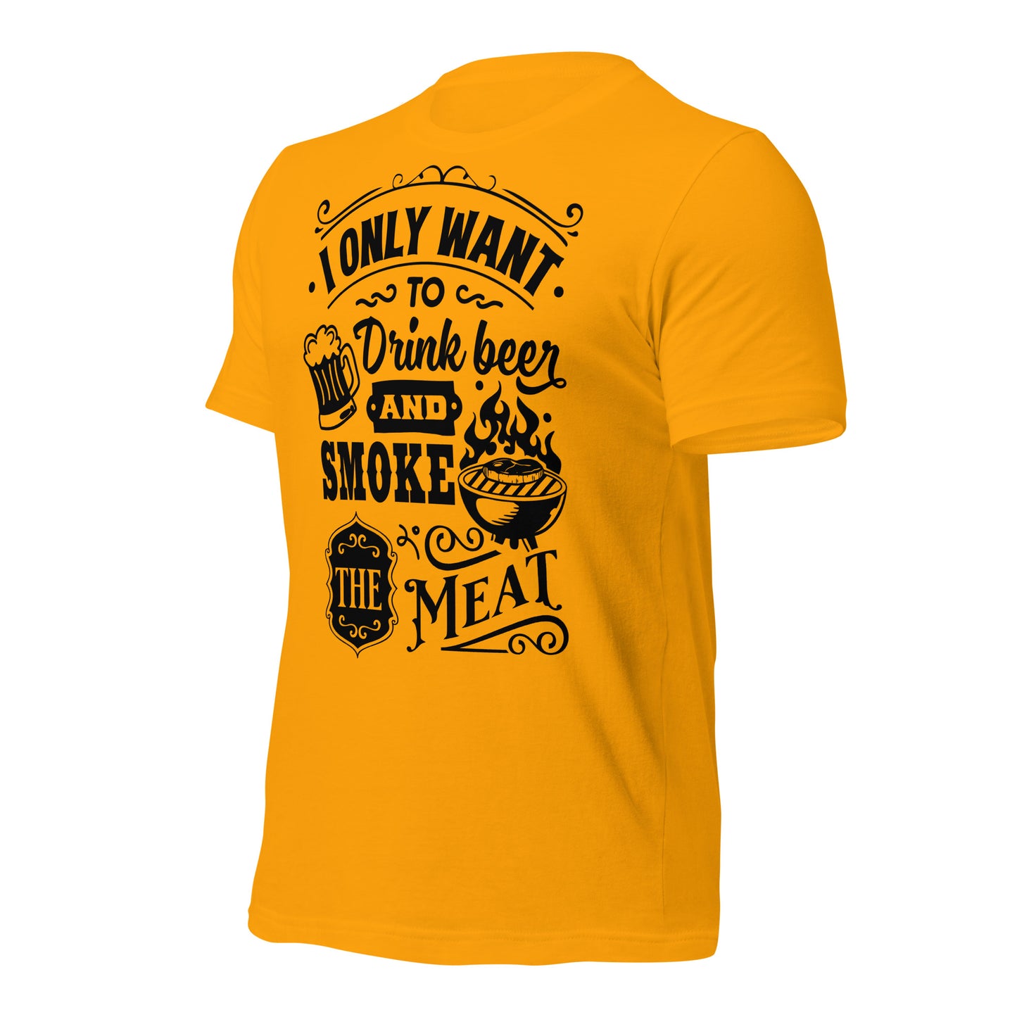 Bright I Only Want to Drink Beer and Smoke Meat BBQ Unisex t-shirt